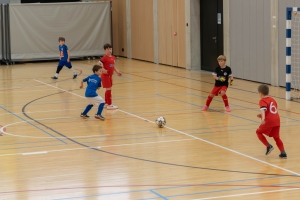 _MG_2685-Avec accentuation-Bruit.jpg